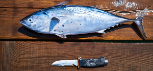 Couteau marin, plongée et pêche